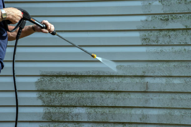 Best Solar Panel Cleaning  in Paducah, TX